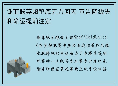 谢菲联英超垫底无力回天 宣告降级失利命运提前注定